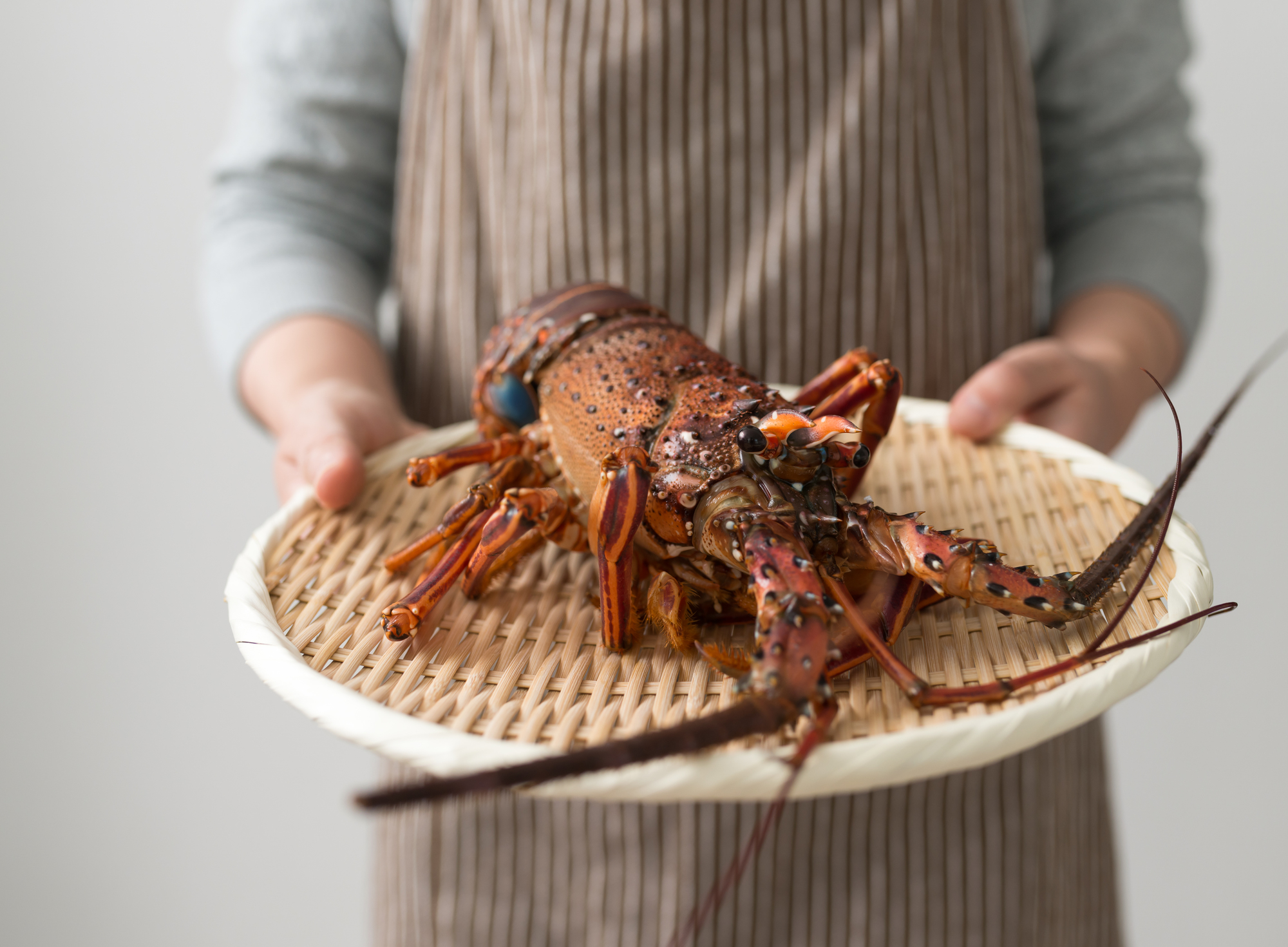 料理に合わせた伊勢海老のさばき方について