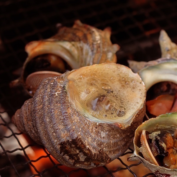 さざえ 30個【BBQ・お祭り・業務用】 さざえ 30個【BBQ・お祭り・業務用】の通販 by swalloow's shop
